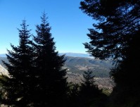 Μέσα στο δάσος του Τόμαρου